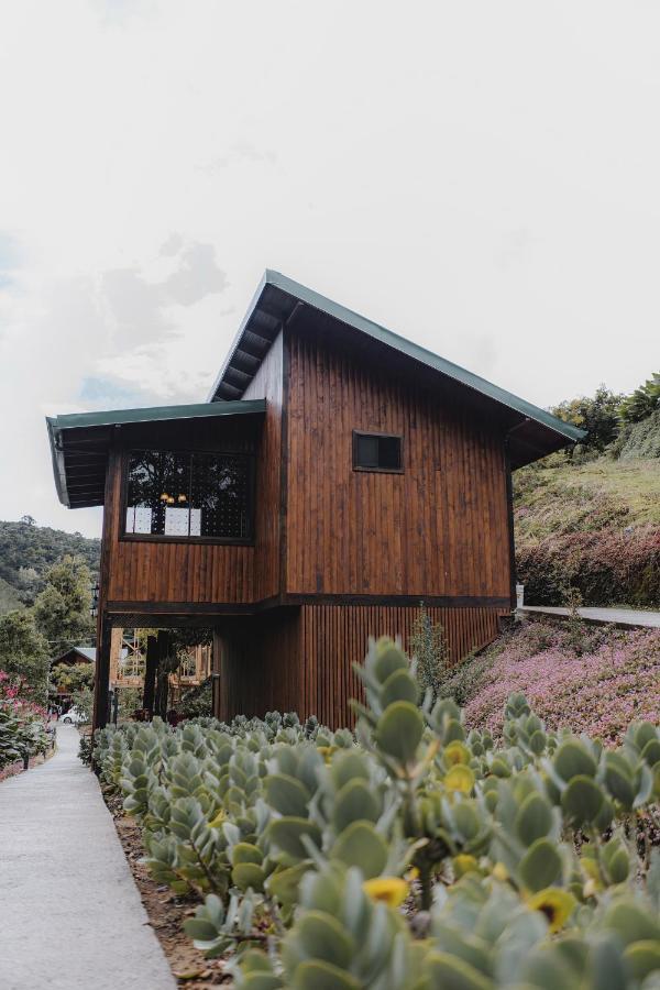 Lauraceas Lodge San Gerardo de Dota Exterior photo